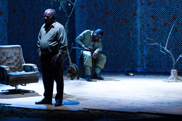 mémoire de papillon photo